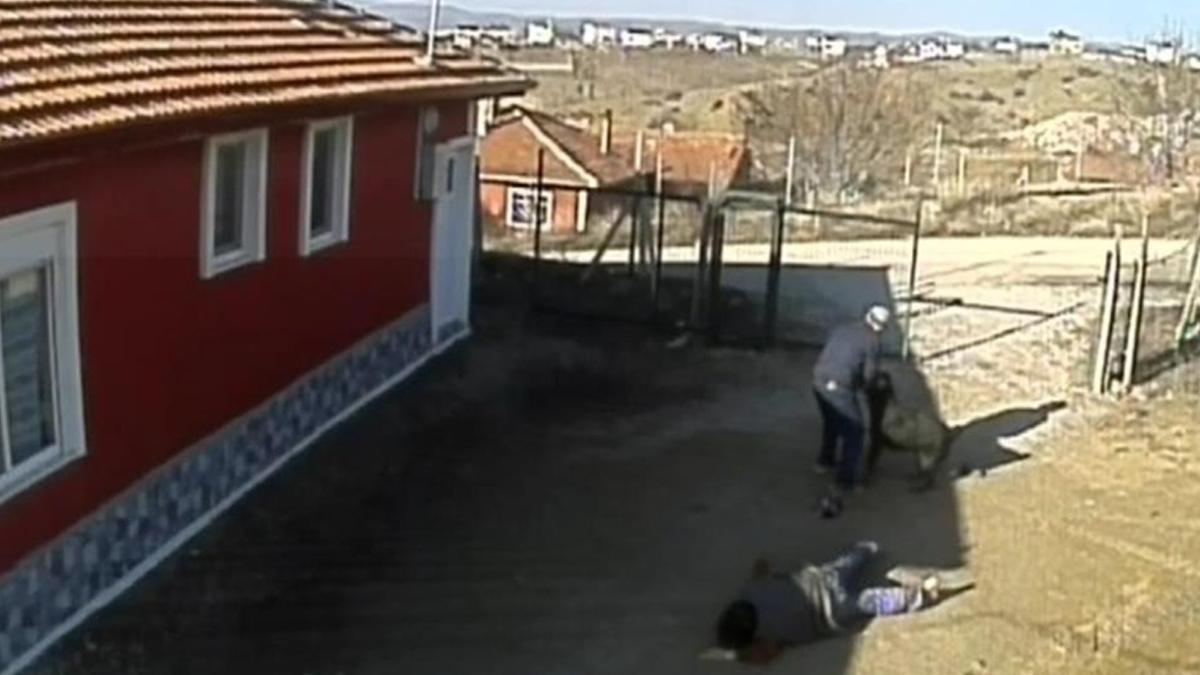 Başıboş köpekler yine dehşet saçtı! 3 yaralı
