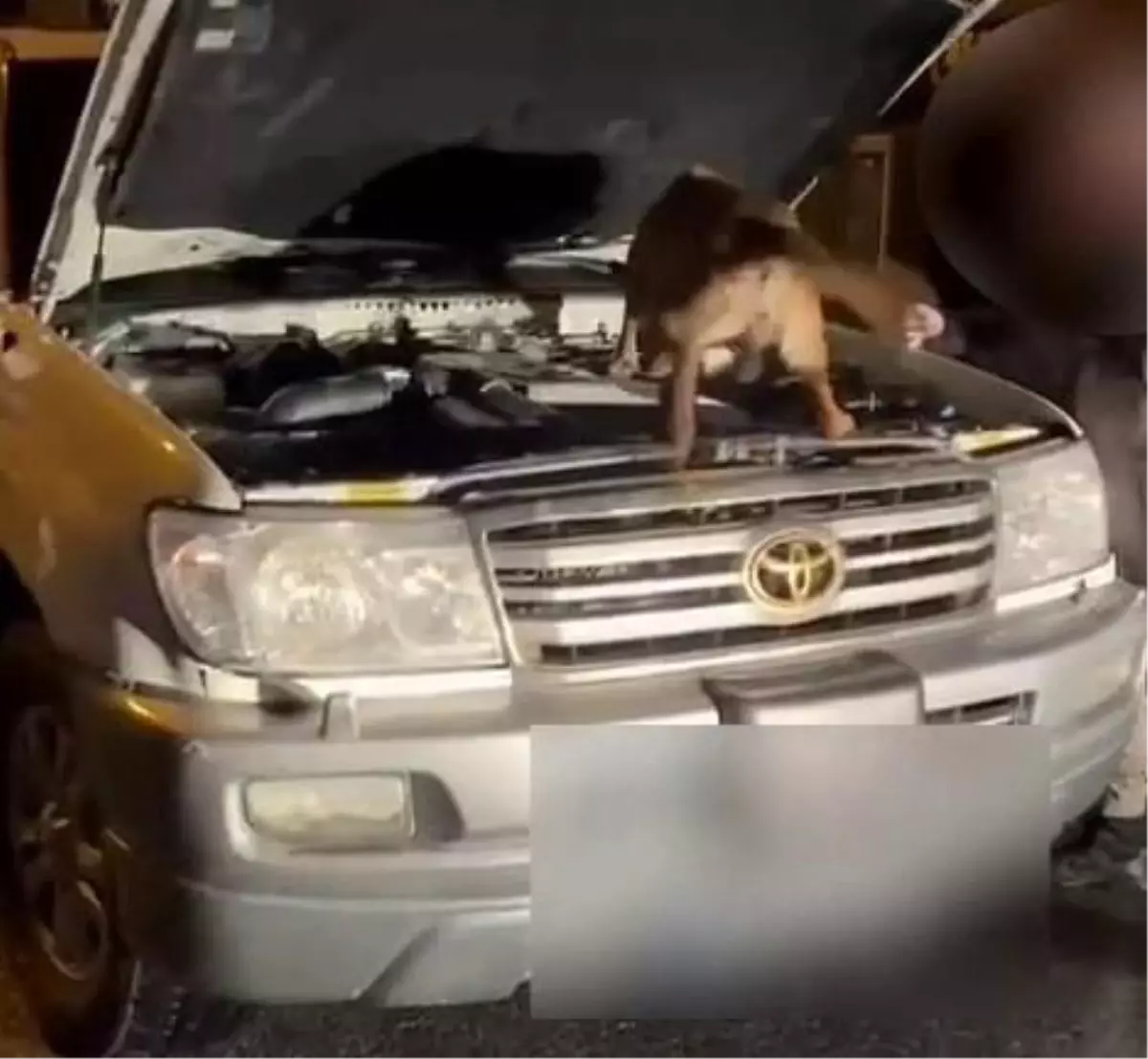 Sakarya’da SUV’da 76 Litre Metamfetamin Ele Geçirildi