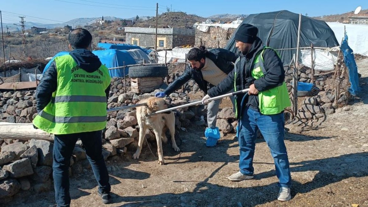 Şanlıurfa’da kuduz köpek 3 kişiyi ısırdı: Köy karantinaya alındı