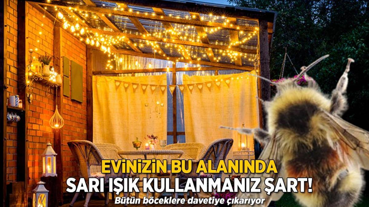Tüm börtü böceği topluyor! Evini seven sarısını kullansın, haşerelere davet